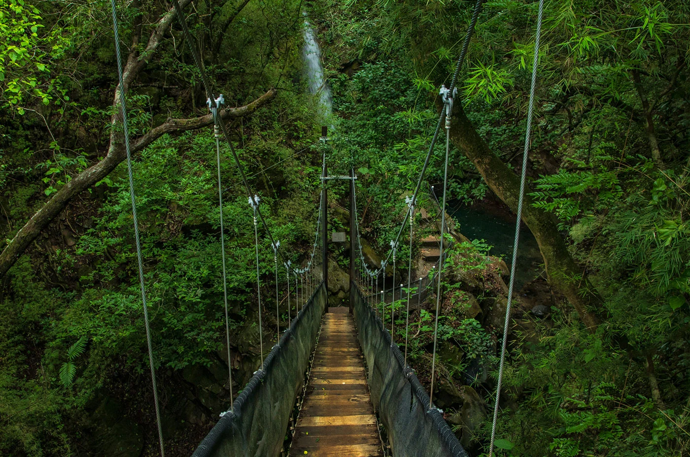 Costa-Rica-Vision-Bridge-Hacineda-GuachipelinBG